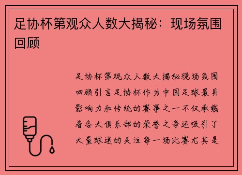 足协杯第观众人数大揭秘：现场氛围回顾