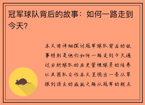 冠军球队背后的故事:如何一路走到今天?