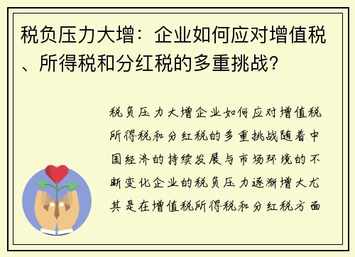税负压力大增：企业如何应对增值税、所得税和分红税的多重挑战？